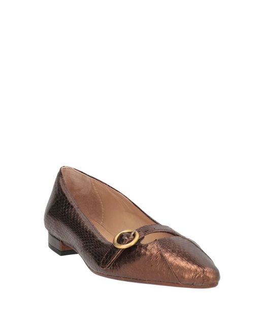 Maliparmi Brown Ballet Flats
