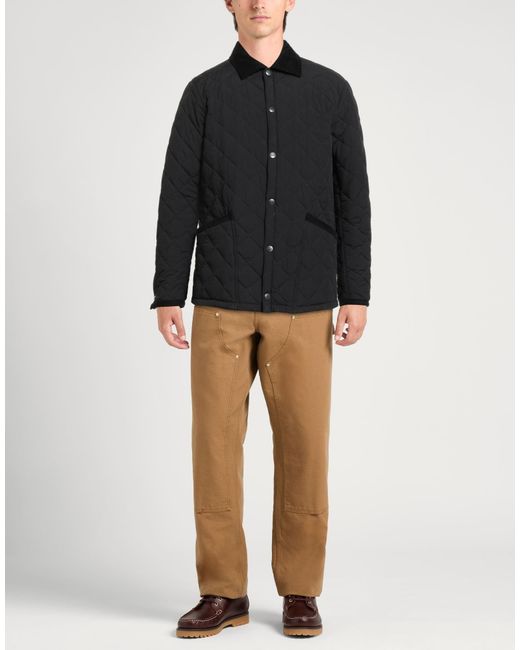 Husky Black Puffers for men