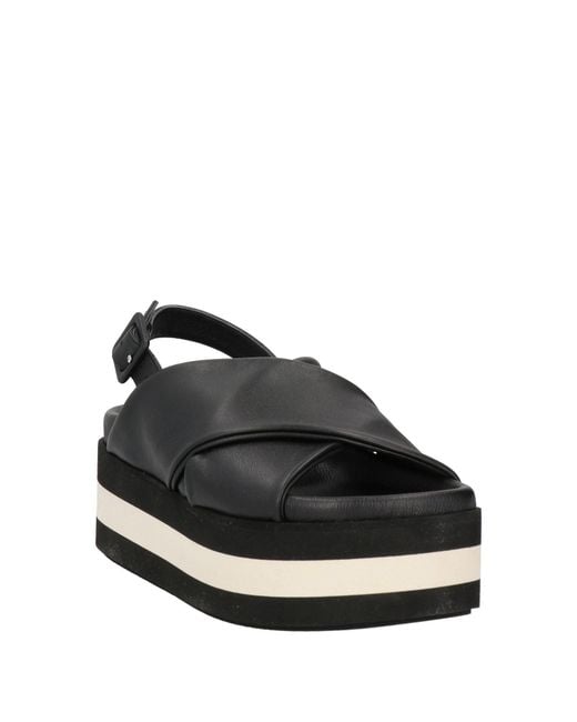 Paloma Barceló Black Roya Sandals Leather