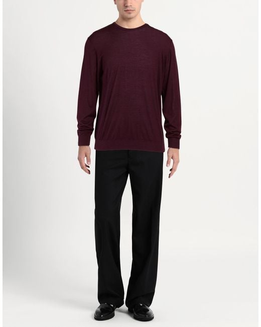 CAVALIERI Purple Jumper for men