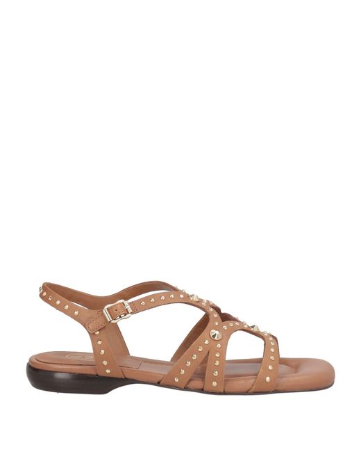 Ash Brown Sandals