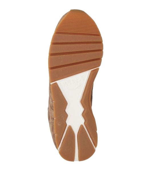 Voile Blanche Brown Trainers