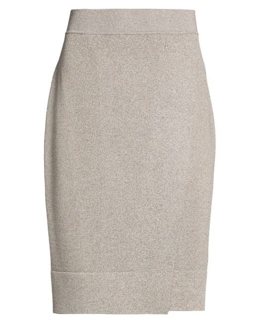 Circus Hotel Gray Midi Skirt