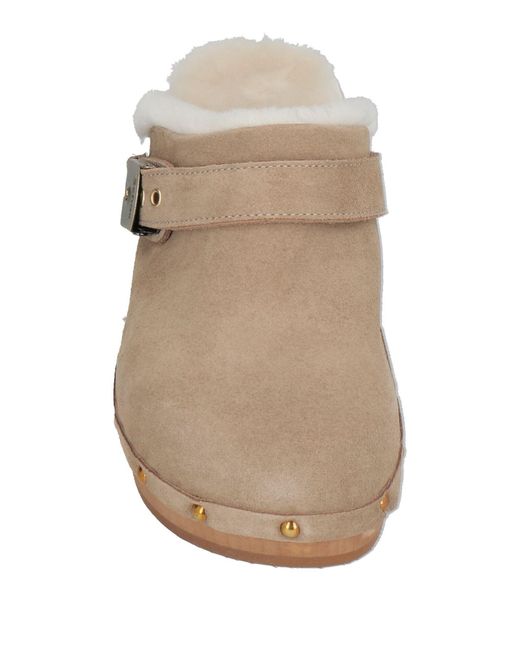 Scholl Brown Mules & Clogs