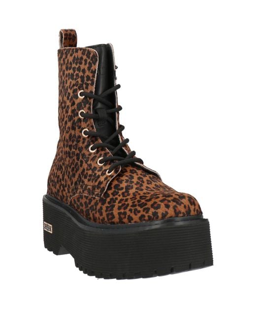 Cult Brown Ankle Boots