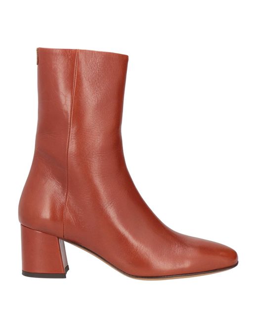 Anthology Brown Ankle Boots