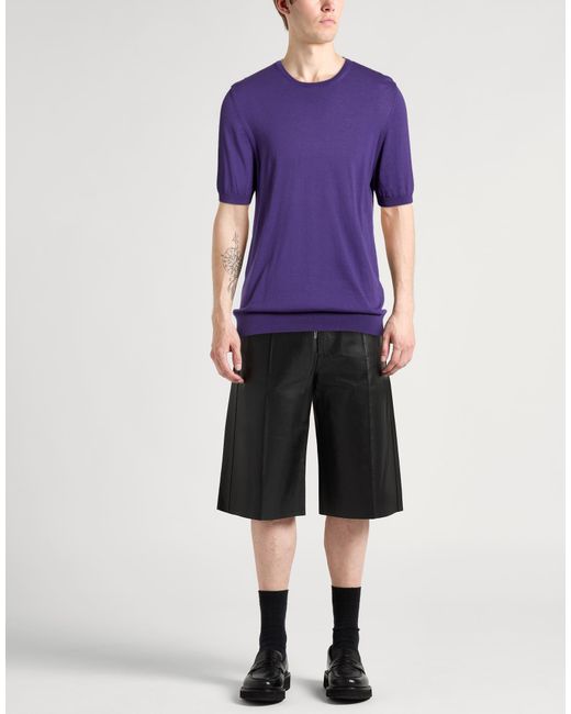 Tagliatore Purple Jumper for men