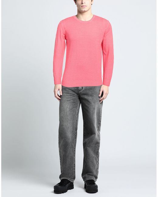 Kangra Pink Sweater for men
