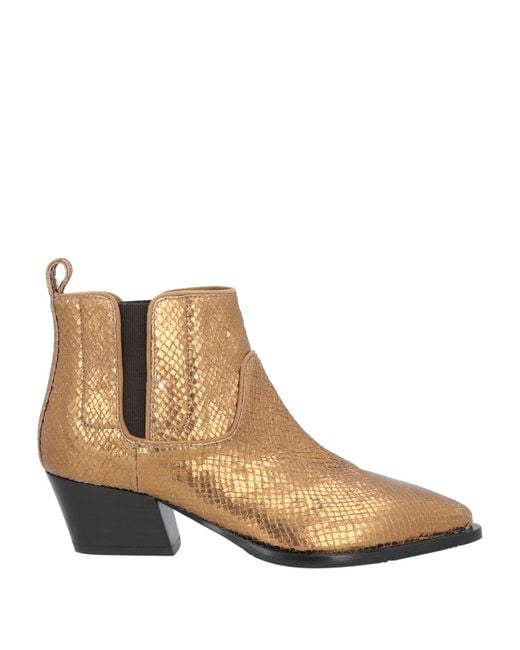 Bottines Fabi en coloris Brown