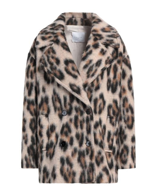 Gaelle Paris Gray Coat Polyester, Virgin Wool
