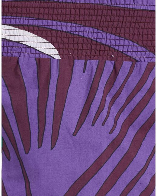 Nenette Purple Top