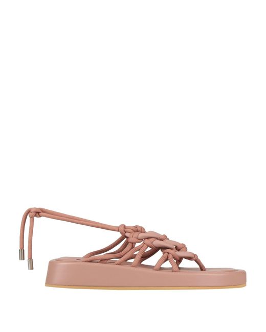 N°21 Pink Thong Sandal