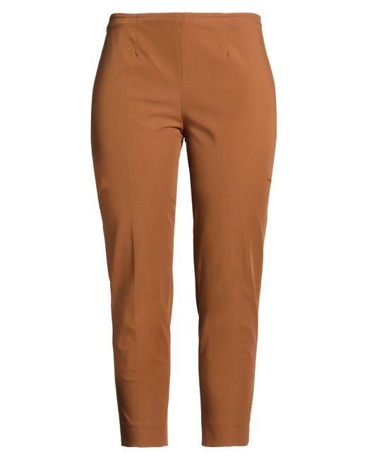 PT Torino Brown Pants