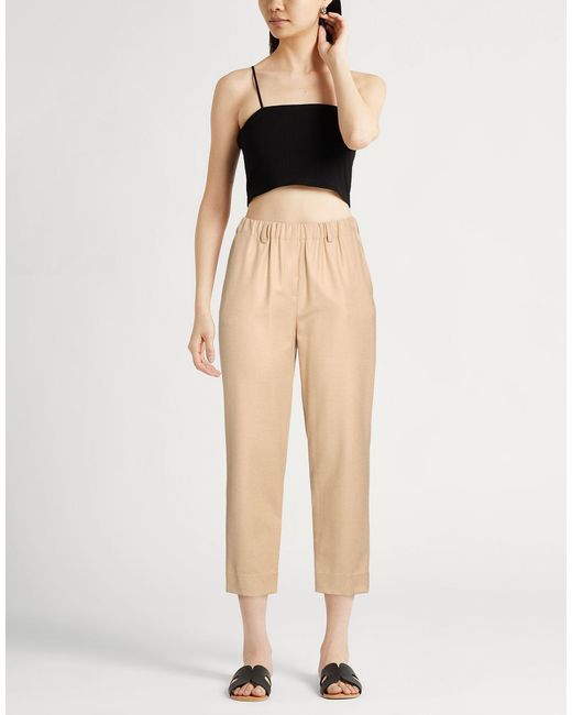 Antonelli Natural Pants Wool, Polyester, Viscose, Elastane