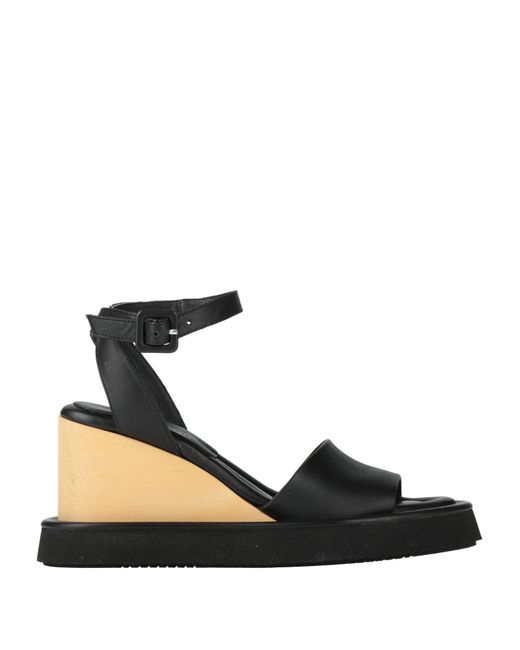 Paloma Barceló Black Sandals