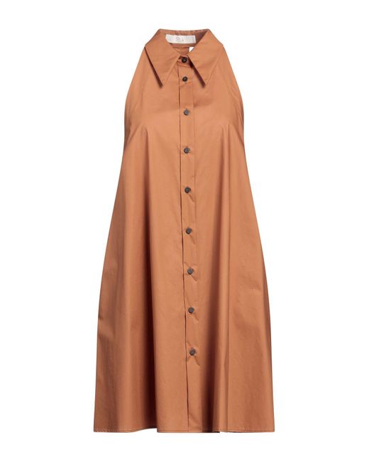 Tela Brown Midi Dress