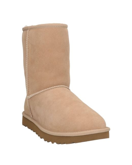 Ugg Brown Stiefelette