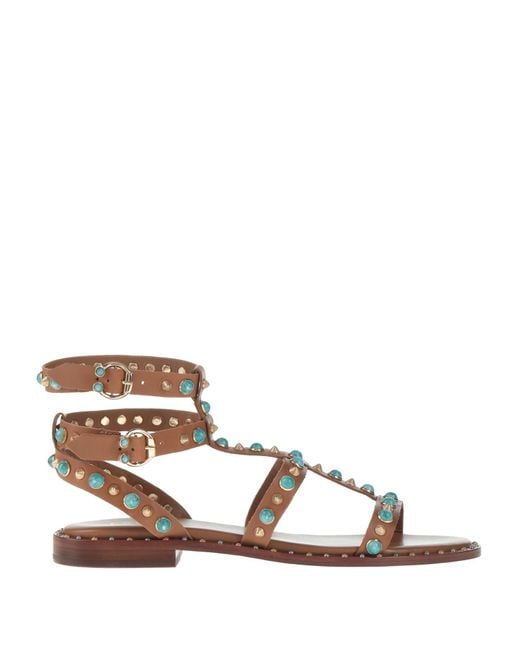 Ash Brown Sandals