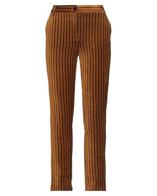 HOD Brown Pants