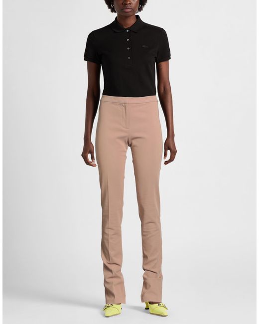 Pinko Natural Sand Pants Cotton, Elastane