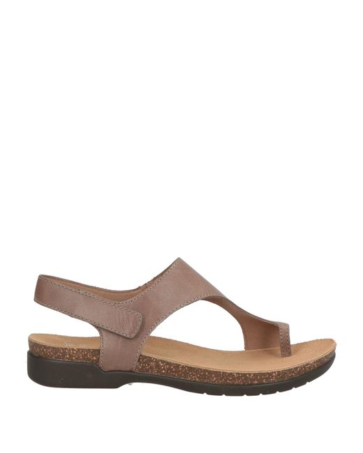 Dansko Brown Thong Sandal