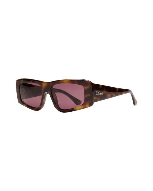 Chloé Purple Sunglasses