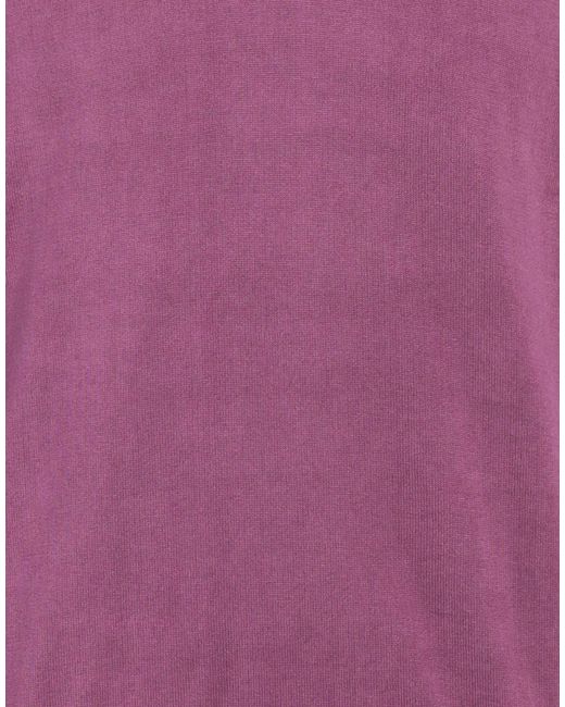 Alpha Studio Purple Sweater Cotton for men