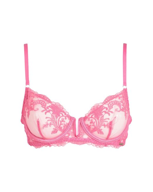 Bluebella Lace Bra in Fuchsia (Pink) - Lyst