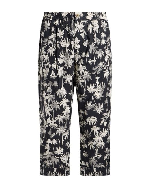 Amaranto Gray Pants Cotton for men