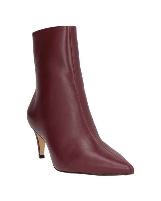 Carrano Purple Ankle Boots