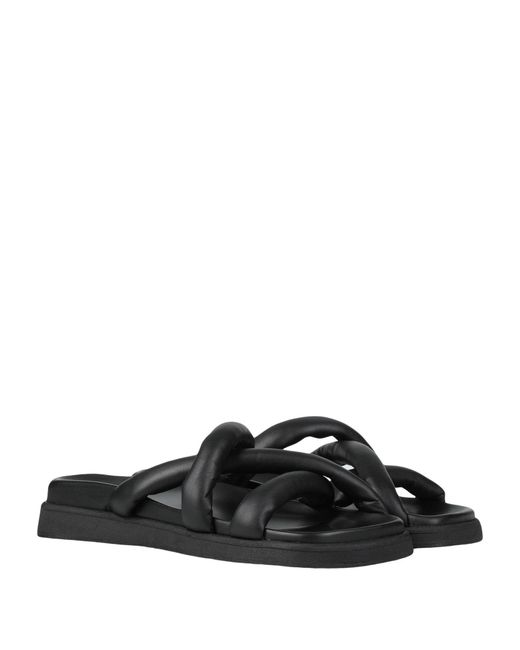 Alohas Black Sandals