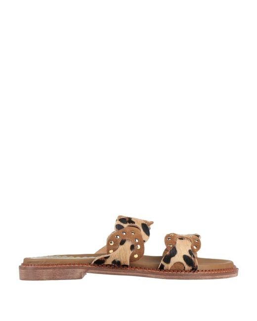Divine Follie Women's Brown Sandals Leather
