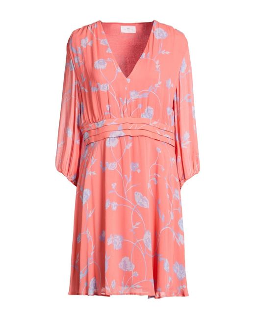 Nenette Pink Mini Dresses