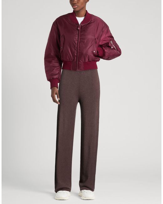 ViCOLO Brown Pants