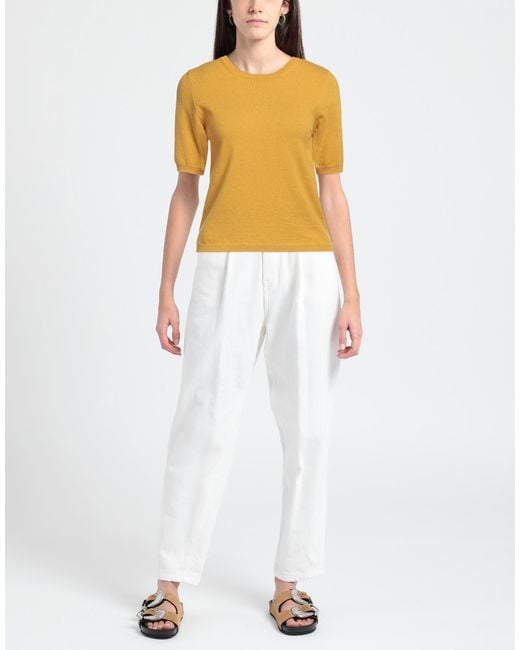 Kangra Yellow Jumper