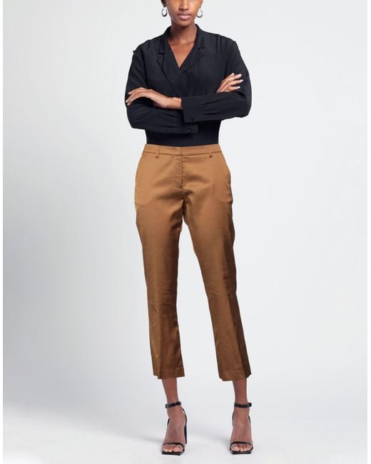 PT Torino Brown Trouser