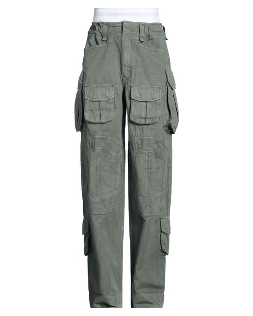 Alexander Wang Gray Pants