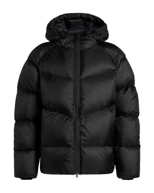Pyrenex Black Puffer for men