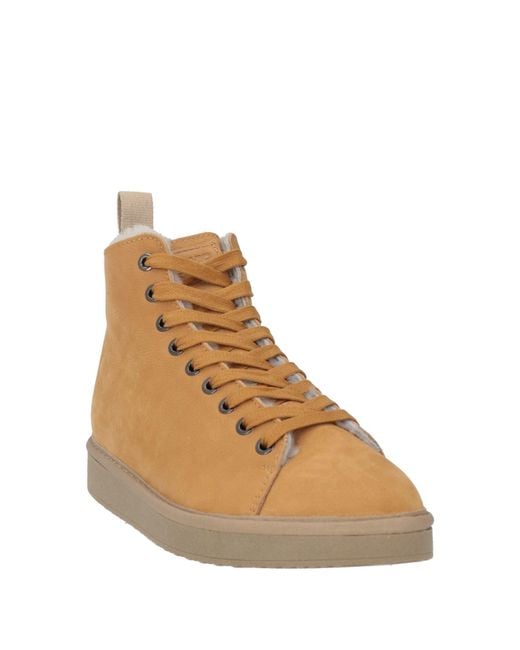 Pànchic Brown Stiefelette