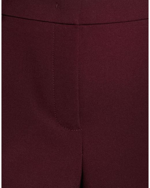 Seductive Red Plum Pants Polyester, Viscose, Cotton, Elastane