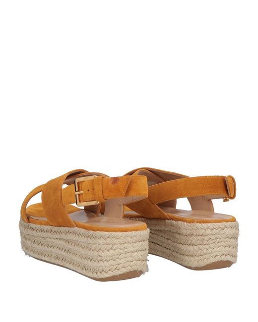 Sergio Rossi Brown Espadrilles
