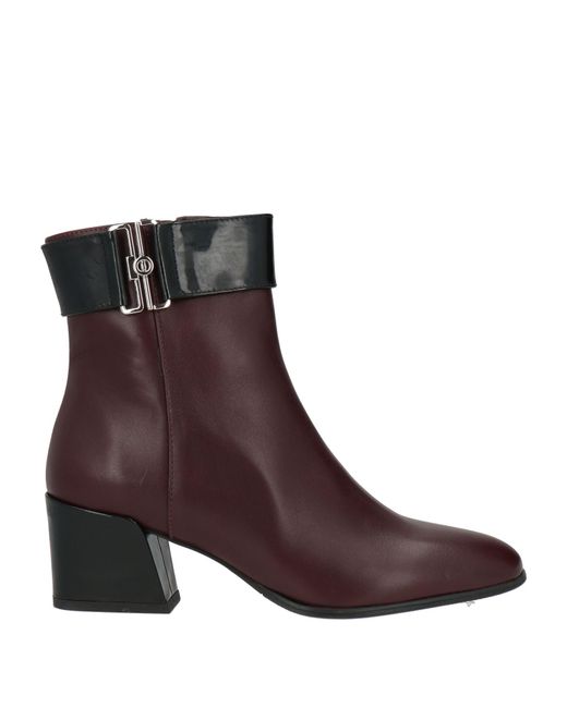 Cerruti 1881 Brown Ankle Boots