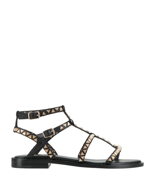 Ash Black Sandals