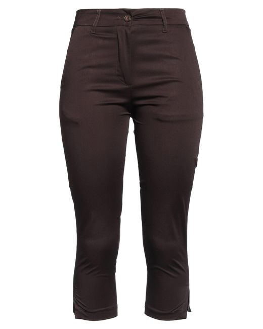 Alpha Studio Brown Trouser