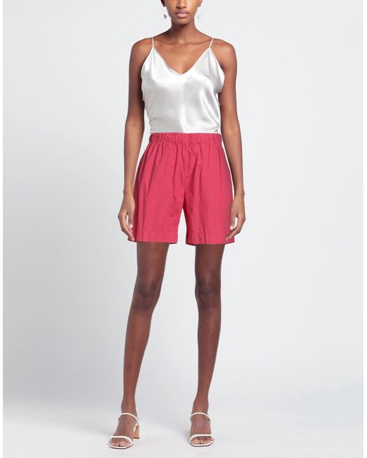 Accademia Red Shorts & Bermuda Shorts