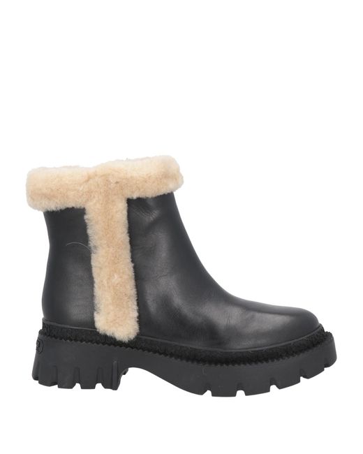COACH Black Jane Leather And Shearling Chelsea Boots