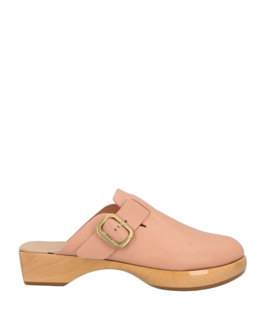 Tod's Pink Mules & Clogs