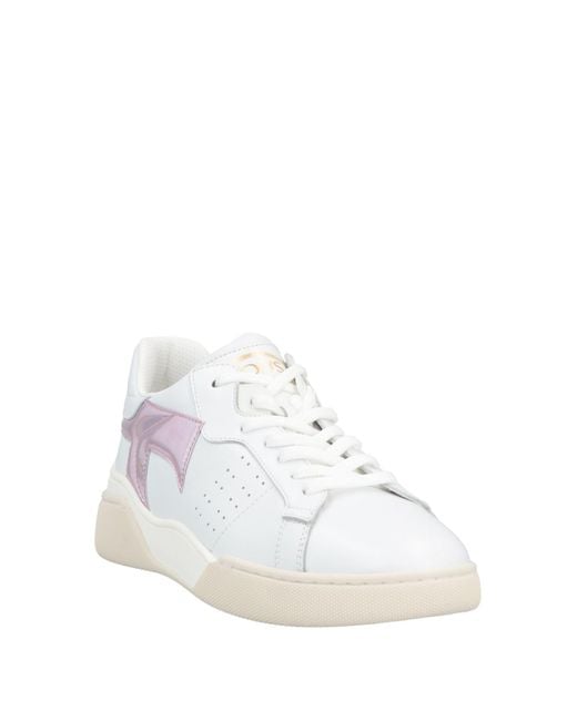 Tod's White Sneakers