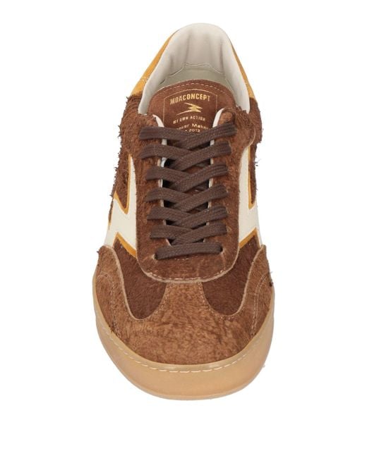 Moaconcept Brown Trainers for men