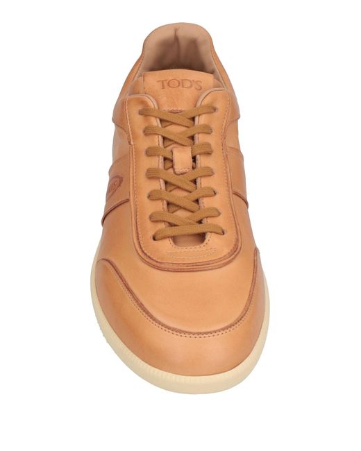 Tod's Brown Sneakers for men